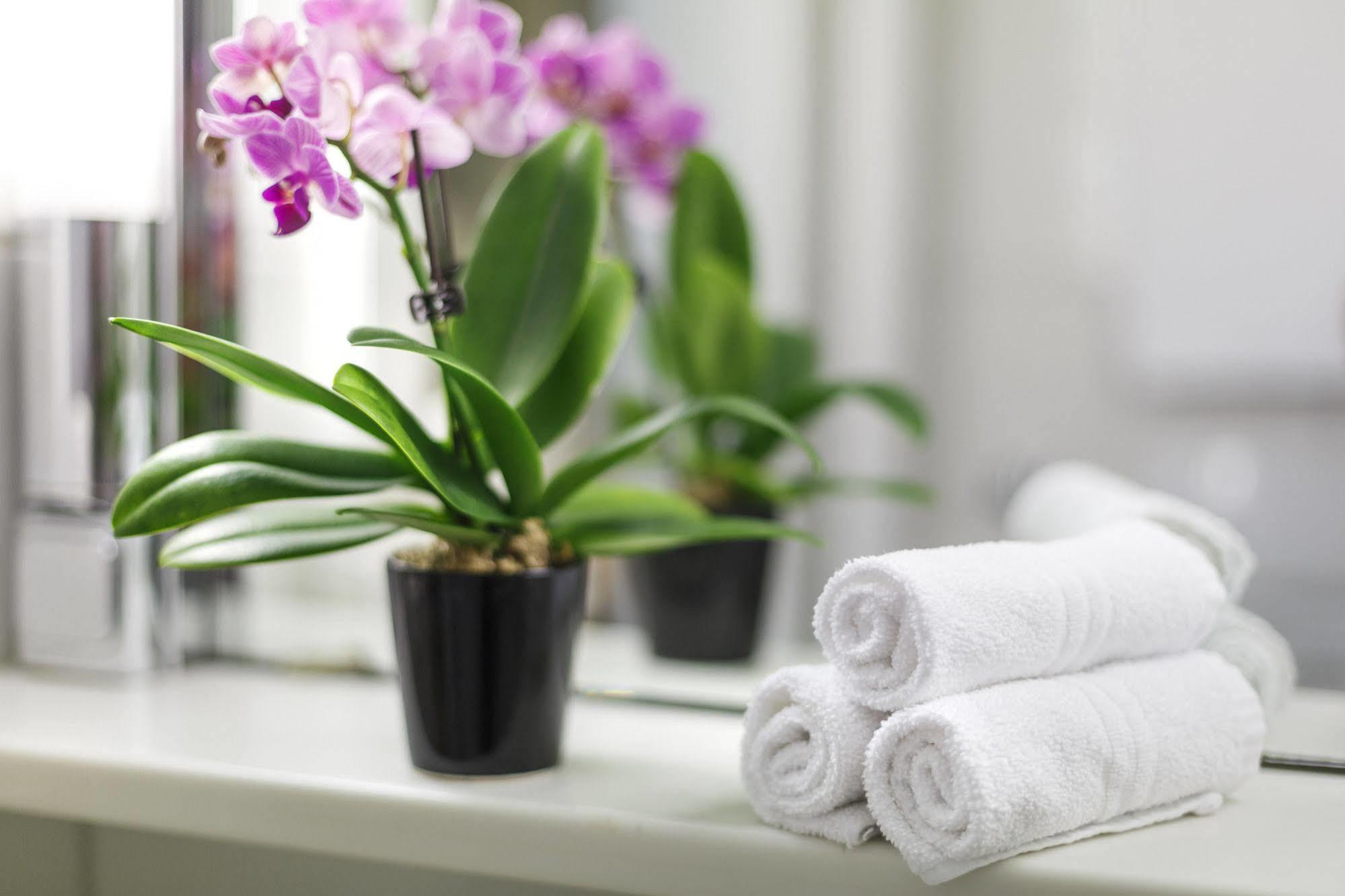 Hotel Coronado Zurich Ngoại thất bức ảnh